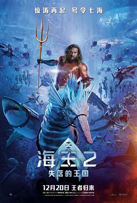 海王2：失落的王国 (豆瓣) .